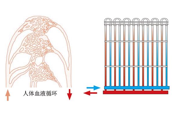 毛細(xì)管路