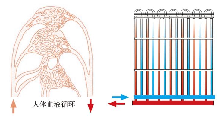 毛細(xì)管路